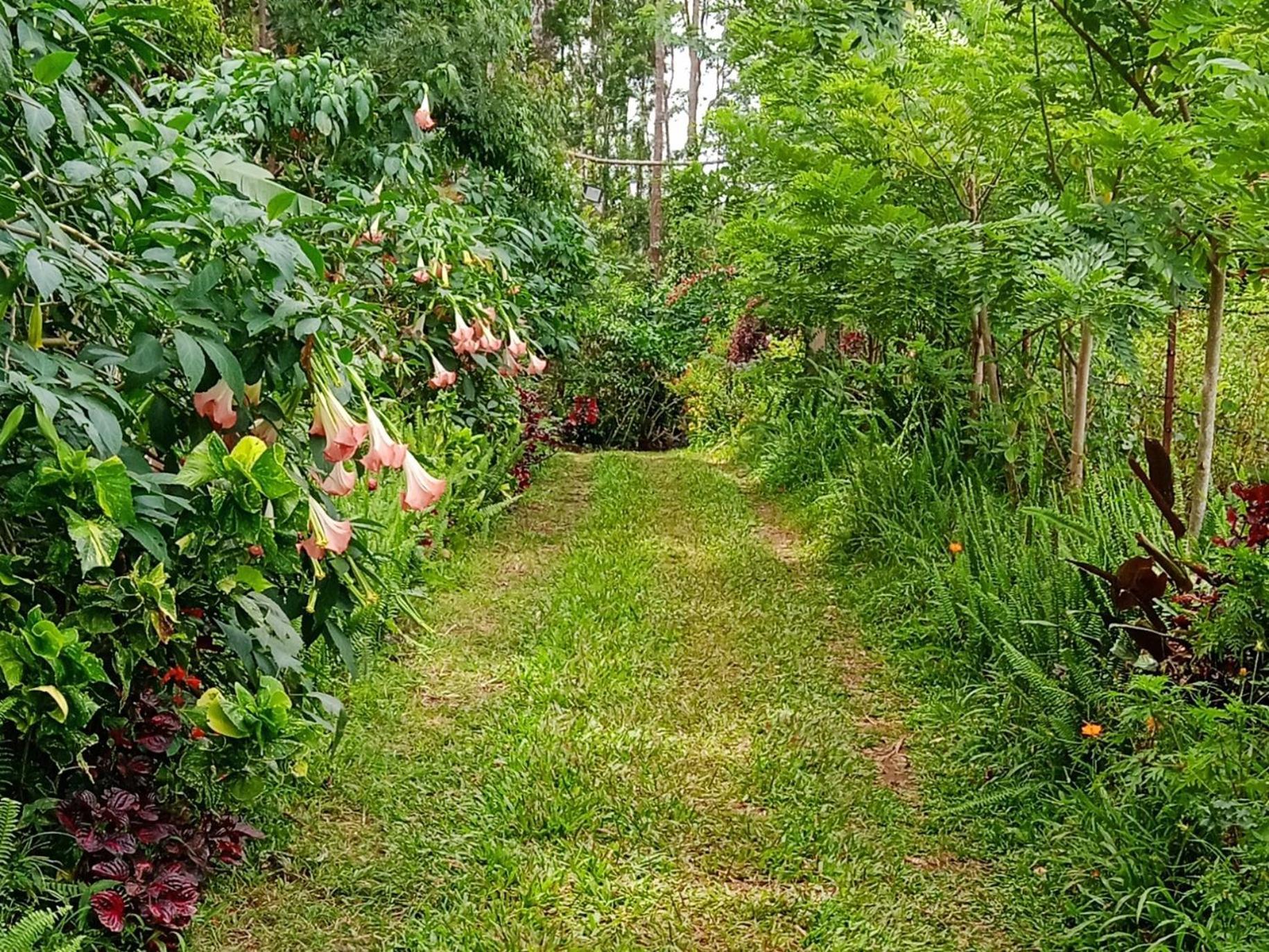 Farmer Homestay Yercaud Zewnętrze zdjęcie